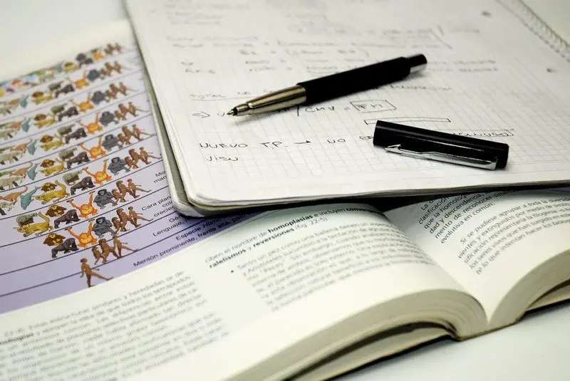 Maturità 2018, l'11,1% degli studenti calabresi ha preso 100