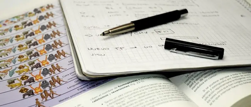 Maturità 2018, l'11,1% degli studenti calabresi ha preso 100