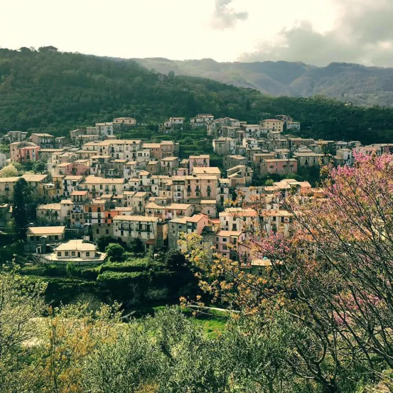 Il comune di Mendicino avrà il suo Borgo della Seta
