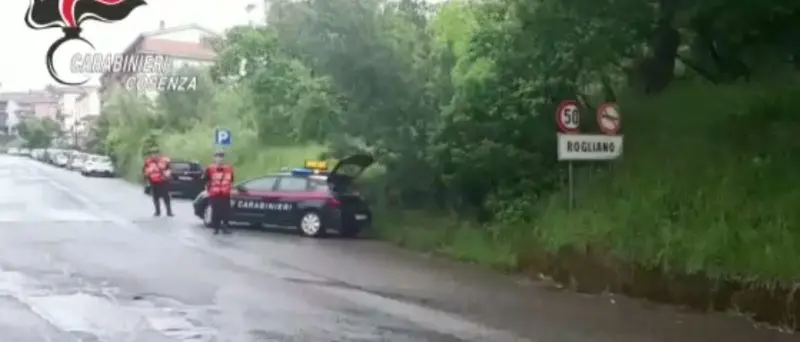 Operazione antidroga nel Savuto, ecco come nasce l'inchiesta