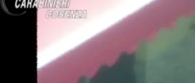 Operazione nel Savuto, cristallizzati 203 episodi di spaccio di droga