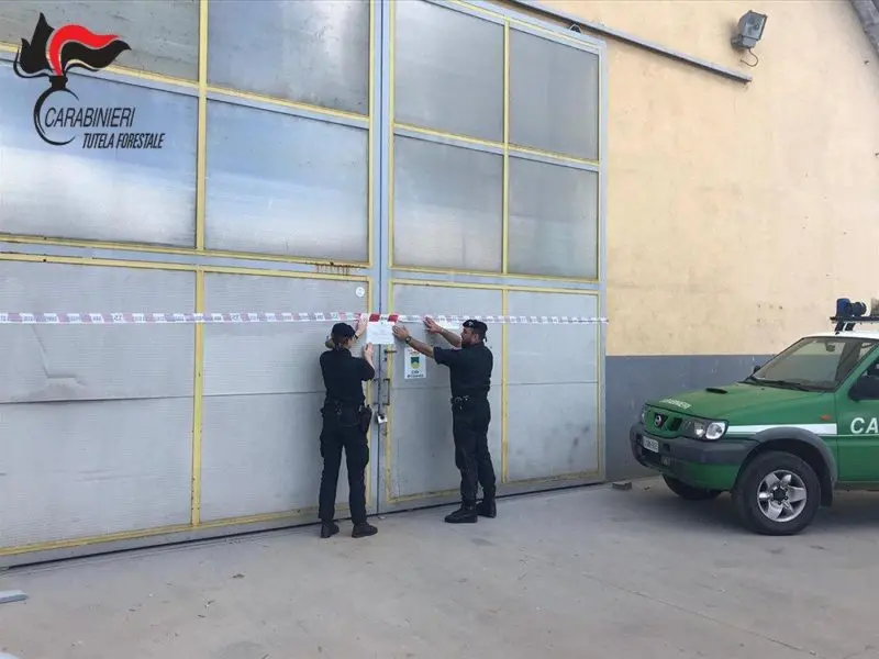 Montalto, sequestrata officina abusiva. Due persone denunciate