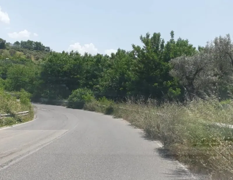 Ex strada provinciale 241, disagi per la circolazione: Spadafora scrive all'Anas