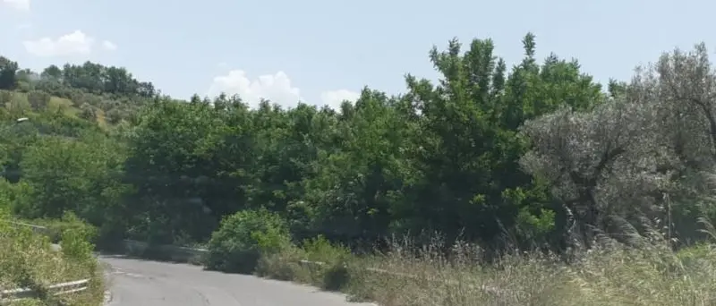 Ex strada provinciale 241, disagi per la circolazione: Spadafora scrive all'Anas