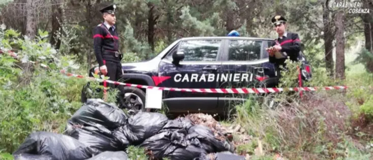 San Demetrio Corone, decine di rifiuti (anche speciali) ritrovati nei boschi: denunciati