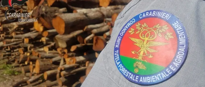 Pietrapaola, sei persone denunciate: ecco perché