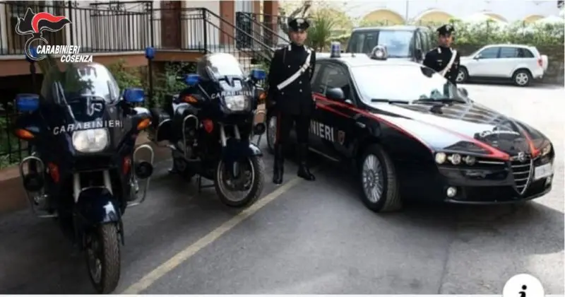 Incensurato di Maierà scappa con l'incasso, ma viene fermato dai carabinieri