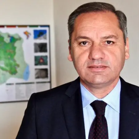 Arpacal, nuovo direttore generale: nominato Domenico Pappaterra