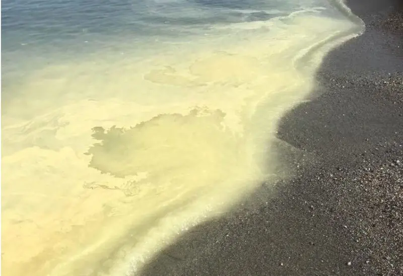 Mare calabrese tinto di giallo, l'Arpacal spiega cosa è successo: le foto