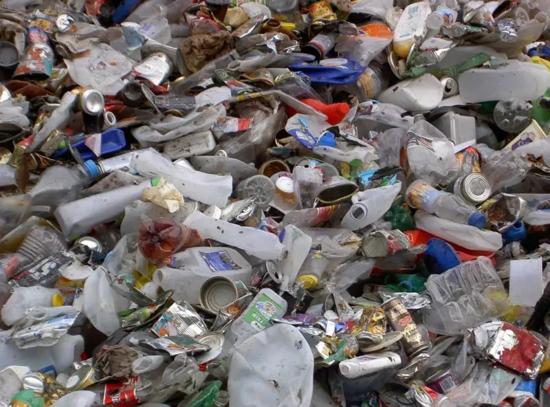 Piccoli e nella provincia di Cosenza: ecco i \"Comuni ricicloni\" calabresi