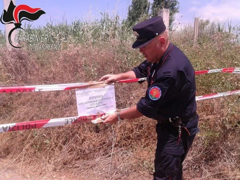 Grisolia: abbandono rifiuti, sequestrata area e denunciato autore