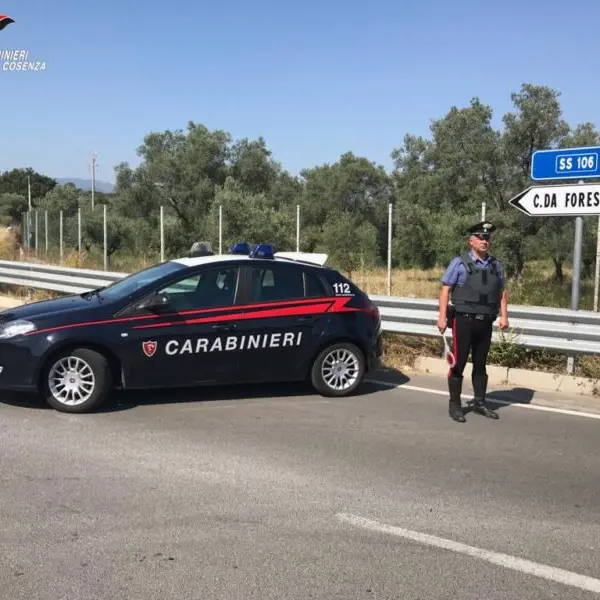 Furto di agrumi a Corigliano Rossano, i carabinieri arrestano un uomo
