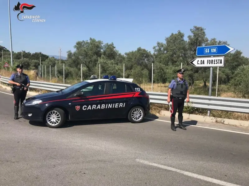 Furto di agrumi a Corigliano Rossano, i carabinieri arrestano un uomo