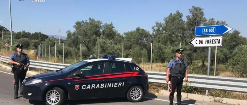 Furto di agrumi a Corigliano Rossano, i carabinieri arrestano un uomo