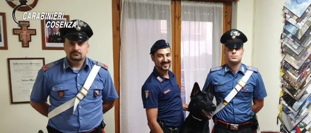 Spaccio di droga nell'Alto Tirreno cosentino, arrestate due persone