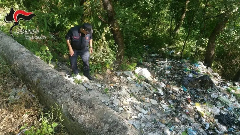 Abbandono di rifiuti, denunce e sanzioni a Casali del Manco: l'attività dei carabinieri forestale