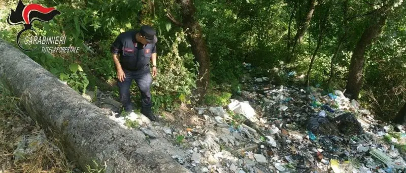 Abbandono di rifiuti, denunce e sanzioni a Casali del Manco: l'attività dei carabinieri forestale