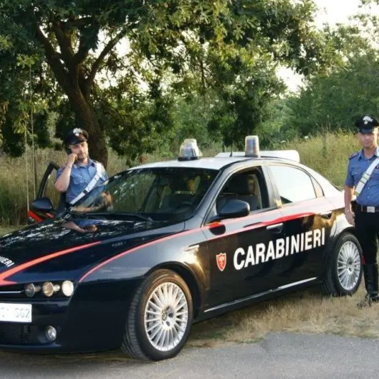 Evade dai domiciliari per portare a spasso il cane: arrestato dai carabinieri
