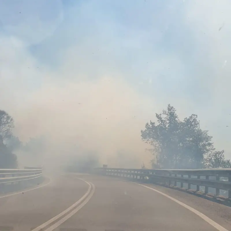 Grosso incendio sulla Silana-Crotonese di fronte il Castello Svevo di Cosenza