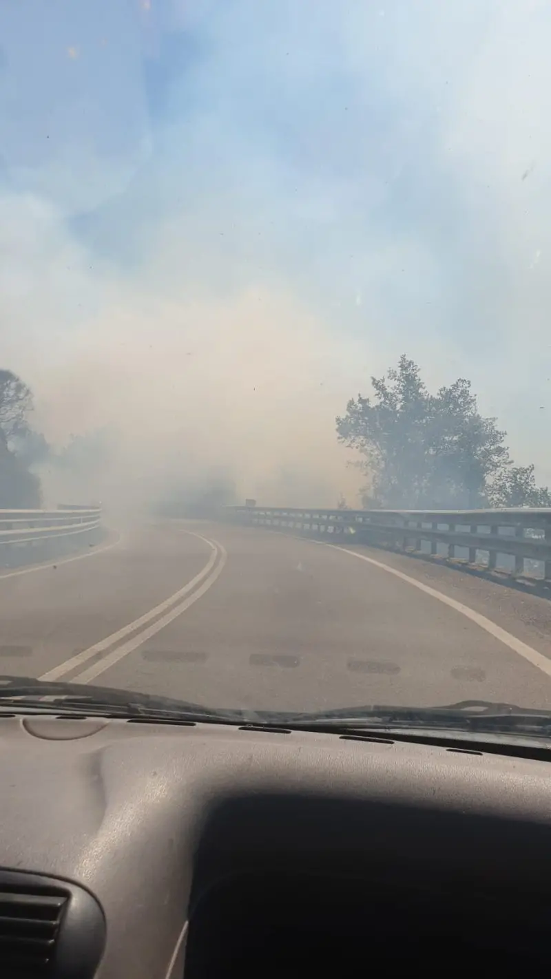 Grosso incendio sulla Silana-Crotonese di fronte il Castello Svevo di Cosenza