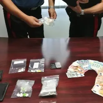 Nascondeva la droga sotto un albero: arrestato dai carabinieri a Lattarico