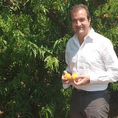 Occhiuto: «Rapporto Svimez devastante per la Calabria. Ecco la mia proposta»
