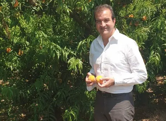 Occhiuto: «Rapporto Svimez devastante per la Calabria. Ecco la mia proposta»