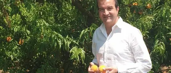 Occhiuto: «Rapporto Svimez devastante per la Calabria. Ecco la mia proposta»