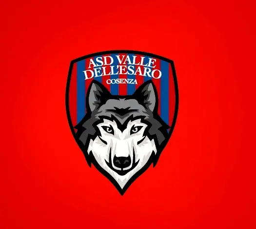 Nuova realtà di calcio giovanile in provincia di Cosenza: ecco le ultime novità