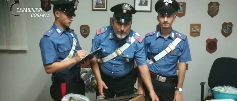 Droga a Belvedere Marittimo in un casolare in campagna: arrestati due giovani pusher