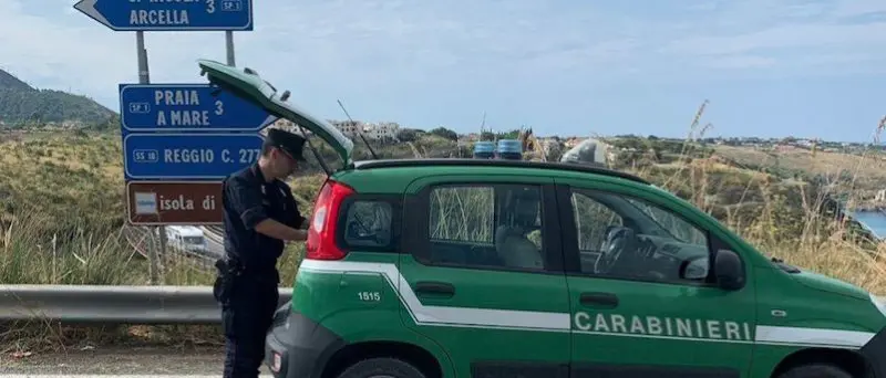 Macellaio di Praia a Mare denunciato per smaltimento illecito di rifiuti: la nota
