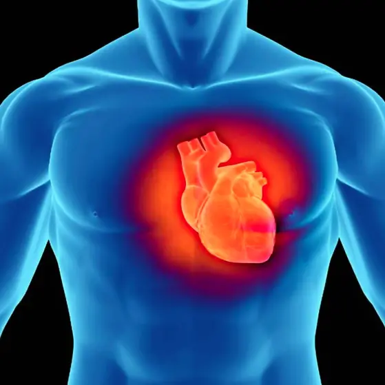 Infarto miocardico, cause e sintomi: fondamentale fare una vita sana