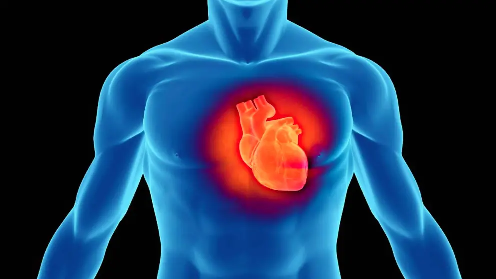 Infarto miocardico, cause e sintomi: fondamentale fare una vita sana