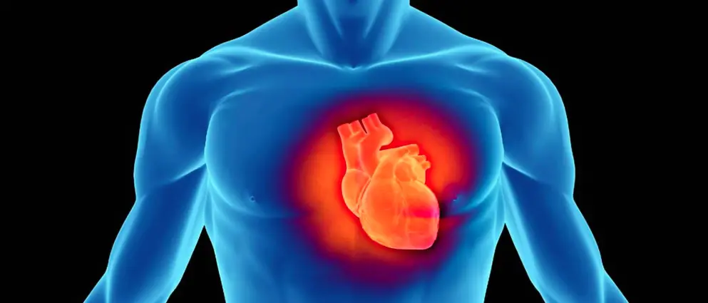 Infarto miocardico, cause e sintomi: fondamentale fare una vita sana