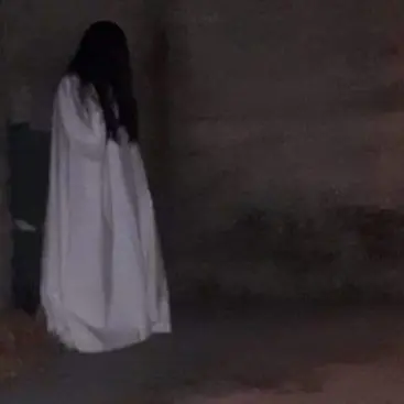 Lamezia Terme, oltre 100 persone danno la caccia a \"Samara\": ecco cosa è successo