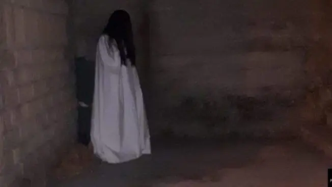 Lamezia Terme, oltre 100 persone danno la caccia a \"Samara\": ecco cosa è successo