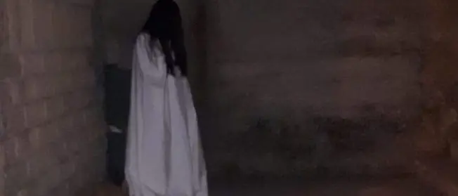 Lamezia Terme, oltre 100 persone danno la caccia a \"Samara\": ecco cosa è successo