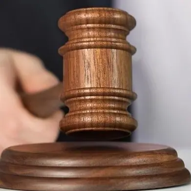 Processo Mala Pigna, imprenditrice cosentina Maria Paola Palermo assolta dalle accuse di traffico illecito\n