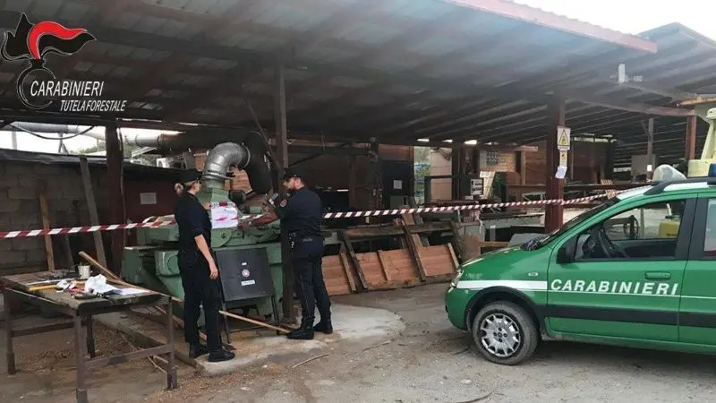 Montalto Uffugo, sequestrata segheria abusiva: indagine dei carabinieri forestale