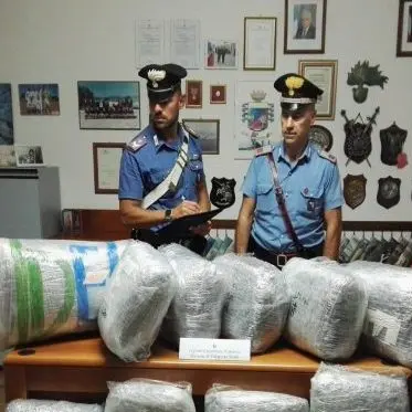 Villapiana, \"corriere della droga\" beccato con 55 chili di marijuana