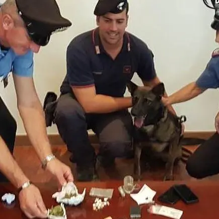 Mendicino, arrestato pusher di 23 anni. Ora si trova ai domiciliari