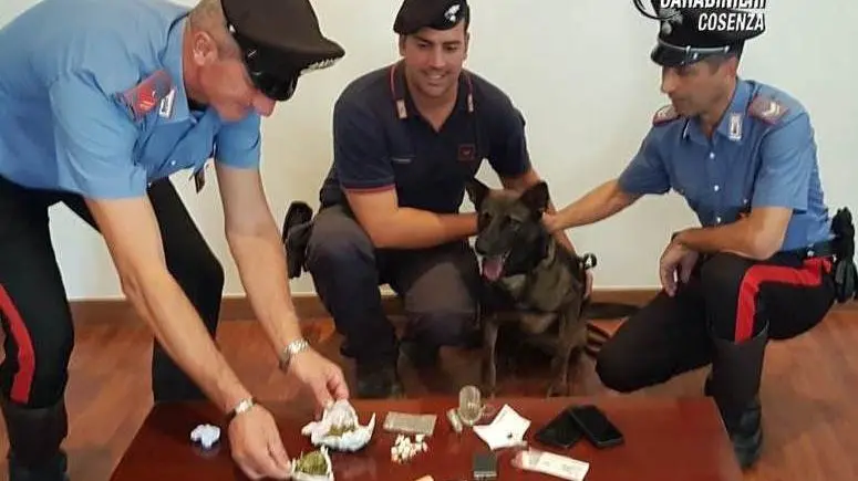 Mendicino, arrestato pusher di 23 anni. Ora si trova ai domiciliari