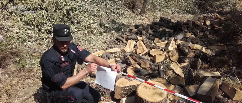 San Sosti, tagliavano legna senza autorizzazione: due denunce