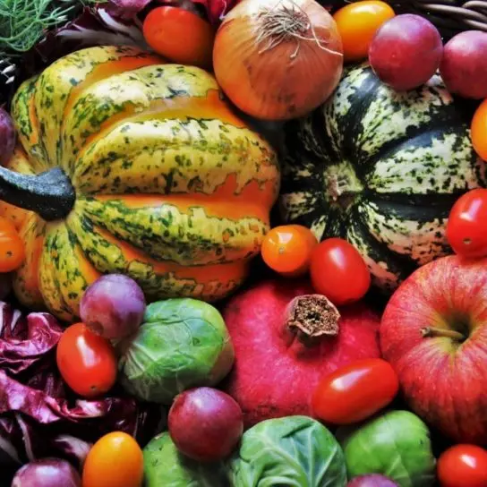 Alimentazione ed influenza, la prevenzione comincia a tavola