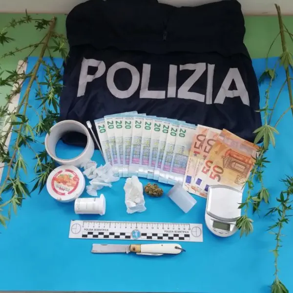 Due piante di marijuana nella vasca da bagno: un arresto a Paola