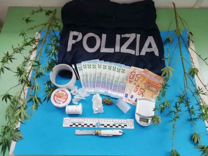 Due piante di marijuana nella vasca da bagno: un arresto a Paola