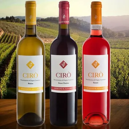 Il Sud che funziona, il vino Cirò DOC compie 50 anni