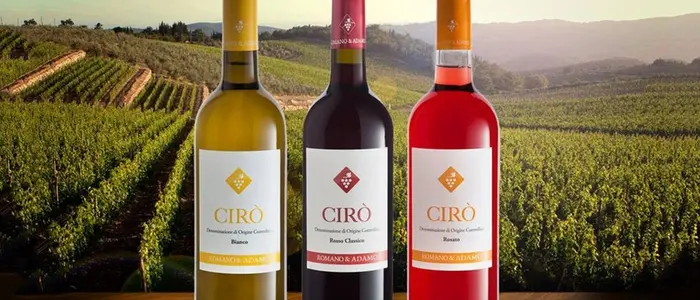 Il Sud che funziona, il vino Cirò DOC compie 50 anni