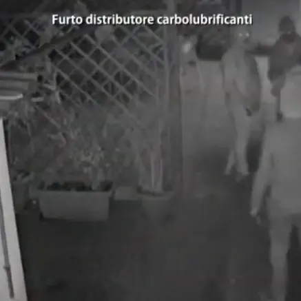 Rapine e furti a Cosenza, scattano gli arresti: in manette 19 persone