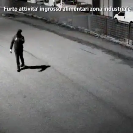 Da Napoli a Lattarico per una rapina e un furto: ecco le indagini di \"Vulture\"